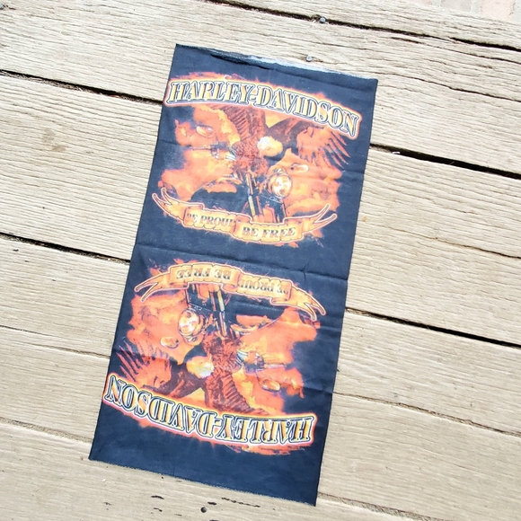 HARLEY DAVIDSON MASK - Picture 1 of 3